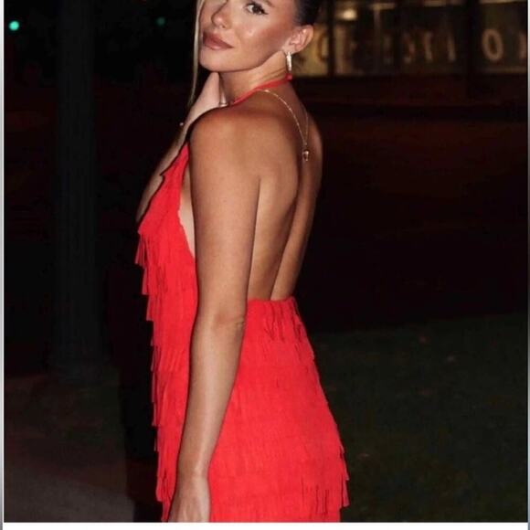 Zara FRINGED TULLE HALTER DRESS Size Small - Picture 2 of 13